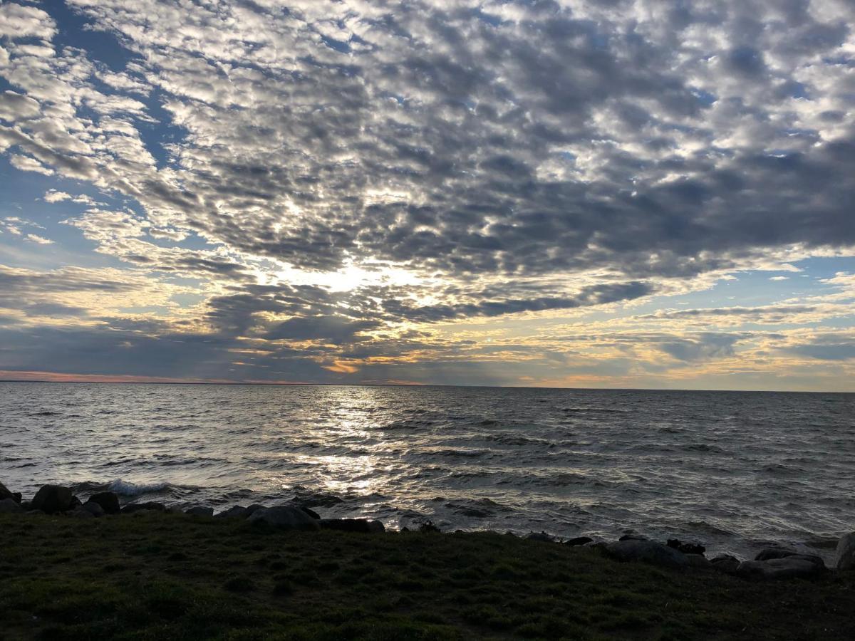 Ferienwohnung Refugium Raabenhorst im Landhaus am Haff Stolpe auf Usedom Exterior foto