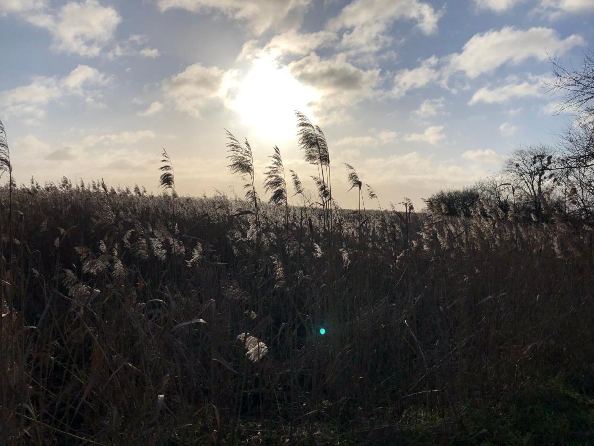 Refugium Raabenhorst im Landhaus am Haff Stolpe auf Usedom Exterior foto